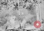 Image feu de forêt Olympic Peninsula Washington USA, 1938, de la seconde 24 séquences d'archives historiques vidéo 65675049442
