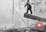 Image feu de forêt Olympic Peninsula Washington USA, 1938, de la seconde 25 séquences d'archives historiques vidéo 65675049442
