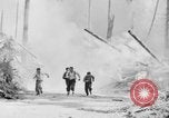 Image feu de forêt Olympic Peninsula Washington USA, 1938, de la seconde 26 séquences d'archives historiques vidéo 65675049442