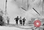 Image feu de forêt Olympic Peninsula Washington USA, 1938, de la seconde 27 séquences d'archives historiques vidéo 65675049442