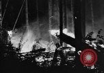 Image feu de forêt Olympic Peninsula Washington USA, 1938, de la seconde 32 séquences d'archives historiques vidéo 65675049442