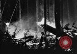 Image feu de forêt Olympic Peninsula Washington USA, 1938, de la seconde 33 séquences d'archives historiques vidéo 65675049442