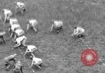 Standbild Notre Dame New York United States USA, 1938, aus Sekunde 6 historischem Filmmaterial Videoclip 65675049461