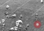 Standbild Notre Dame New York United States USA, 1938, aus Sekunde 20 historischem Filmmaterial Videoclip 65675049461