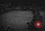 Image of National horse show of 1938 New York City USA, 1938, second 14 stock footage video 65675049463