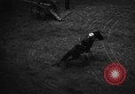 Image of National horse show of 1938 New York City USA, 1938, second 30 stock footage video 65675049463
