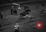 Image of National horse show of 1938 New York City USA, 1938, second 35 stock footage video 65675049463