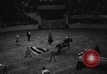 Image of National horse show of 1938 New York City USA, 1938, second 37 stock footage video 65675049463