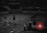 Image of National horse show of 1938 New York City USA, 1938, second 38 stock footage video 65675049463