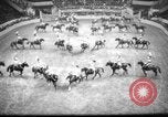 Image of National horse show of 1938 New York City USA, 1938, second 42 stock footage video 65675049463