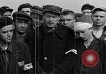 Image interné tchécoslovaque Buchenwald Allemagne, 1945, de la seconde 28 séquences d'archives historiques vidéo 65675049480
