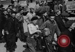 Image of Red Cross trucks Buchenwald Germany, 1945, second 44 stock footage video 65675049491