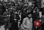 Image of Red Cross trucks Buchenwald Germany, 1945, second 49 stock footage video 65675049491