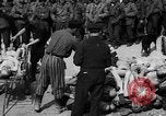 Image of pile of dead Buchenwald Germany, 1945, second 1 stock footage video 65675049492