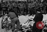 Image of pile of dead Buchenwald Germany, 1945, second 11 stock footage video 65675049492