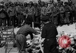 Image of pile of dead Buchenwald Germany, 1945, second 18 stock footage video 65675049492