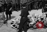 Image of pile of dead Buchenwald Germany, 1945, second 21 stock footage video 65675049492