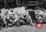 Image of pile of dead Buchenwald Germany, 1945, second 24 stock footage video 65675049492