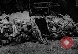 Image of pile of dead Buchenwald Germany, 1945, second 26 stock footage video 65675049492