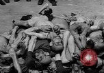 Image of pile of dead Buchenwald Germany, 1945, second 30 stock footage video 65675049492