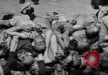 Image of pile of dead Buchenwald Germany, 1945, second 32 stock footage video 65675049492
