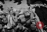 Image of pile of dead Buchenwald Germany, 1945, second 34 stock footage video 65675049492