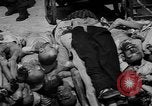 Image of pile of dead Buchenwald Germany, 1945, second 36 stock footage video 65675049492