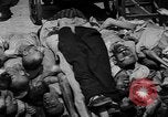 Image of pile of dead Buchenwald Germany, 1945, second 37 stock footage video 65675049492