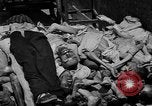 Image of pile of dead Buchenwald Germany, 1945, second 40 stock footage video 65675049492