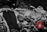 Image of pile of dead Buchenwald Germany, 1945, second 42 stock footage video 65675049492