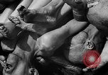 Image of pile of dead Buchenwald Germany, 1945, second 48 stock footage video 65675049492