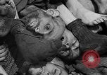 Image of pile of dead Buchenwald Germany, 1945, second 51 stock footage video 65675049492
