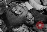 Image of pile of dead Buchenwald Germany, 1945, second 52 stock footage video 65675049492