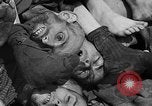 Image of pile of dead Buchenwald Germany, 1945, second 56 stock footage video 65675049492