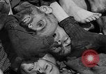 Image of pile of dead Buchenwald Germany, 1945, second 57 stock footage video 65675049492