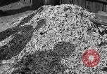 Image of pile of dead Buchenwald Germany, 1945, second 60 stock footage video 65675049492