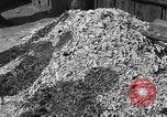 Image of pile of dead Buchenwald Germany, 1945, second 61 stock footage video 65675049492