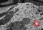 Image of pile of dead Buchenwald Germany, 1945, second 62 stock footage video 65675049492