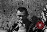 Image of victims Buchenwald Germany, 1945, second 19 stock footage video 65675049493