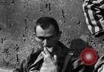 Image of victims Buchenwald Germany, 1945, second 20 stock footage video 65675049493