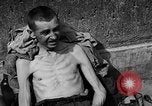 Image of victims Buchenwald Germany, 1945, second 32 stock footage video 65675049493