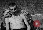 Image of victims Buchenwald Germany, 1945, second 35 stock footage video 65675049493