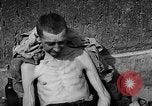 Image of victims Buchenwald Germany, 1945, second 37 stock footage video 65675049493