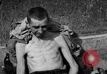 Image of victims Buchenwald Germany, 1945, second 39 stock footage video 65675049493