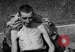 Image of victims Buchenwald Germany, 1945, second 40 stock footage video 65675049493