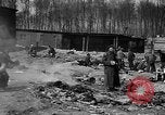 Image of victims Buchenwald Germany, 1945, second 8 stock footage video 65675049494