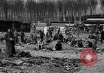 Image of victims Buchenwald Germany, 1945, second 14 stock footage video 65675049494