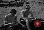 Image of victims Buchenwald Germany, 1945, second 37 stock footage video 65675049494