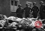 Image of dead bodies Buchenwald Germany, 1945, second 7 stock footage video 65675049495
