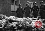 Image of dead bodies Buchenwald Germany, 1945, second 9 stock footage video 65675049495